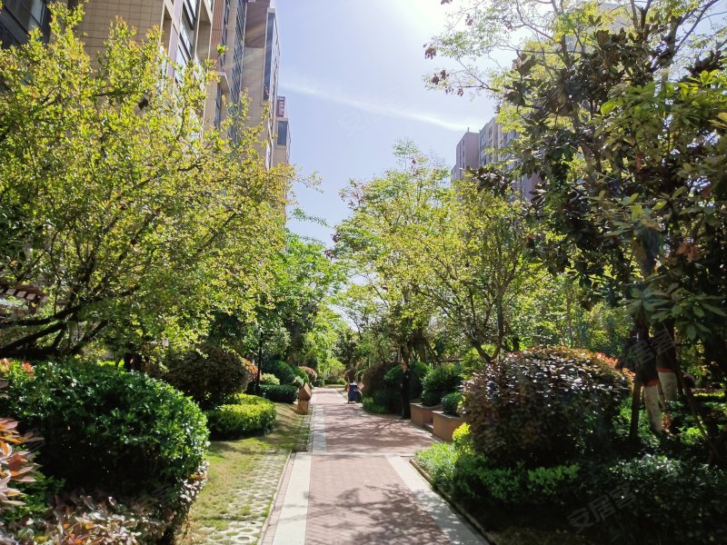 建业十八城,夏耘路-平顶山建业十八城二手房,租房
