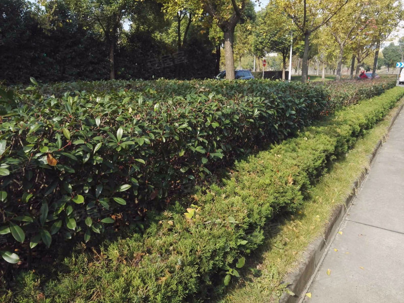 月亮湾小区,北京中路,海兴南路-海门月亮湾小区二手房