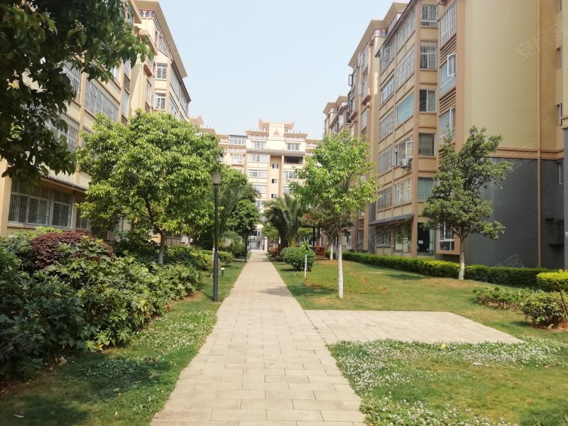 龙湾御景,新车坪公路,近东盛东路-楚雄龙湾御景二手房,租房,房价-楚雄