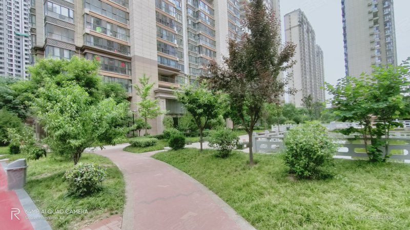 九龙新城,旭光路,近蟠龙路-宝鸡九龙新城二手房,租房