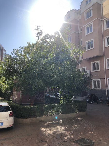 金海花园,北大街-朝阳金海花园二手房,租房,房价-朝阳安居客