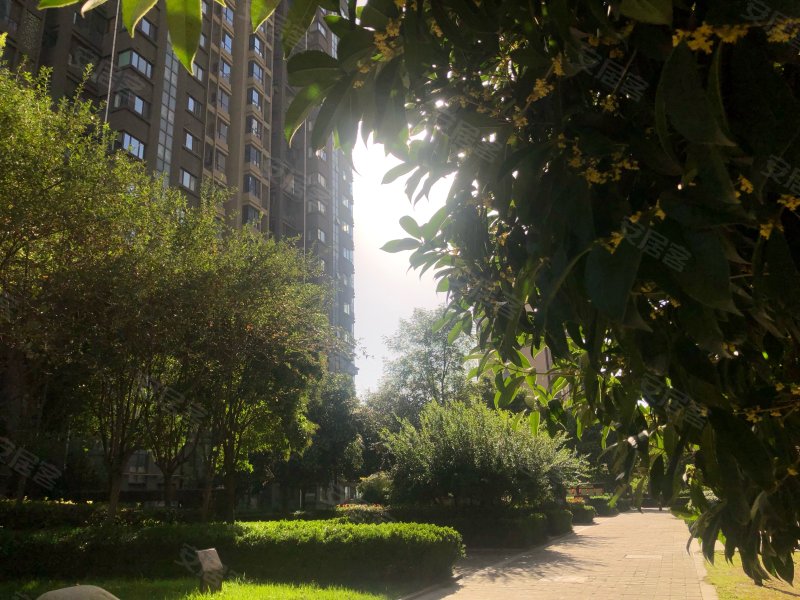 中铁梧桐苑,新开门南路1088号-西安中铁梧桐苑二手房,租房,房价-西安