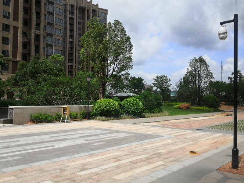 岐江东岸