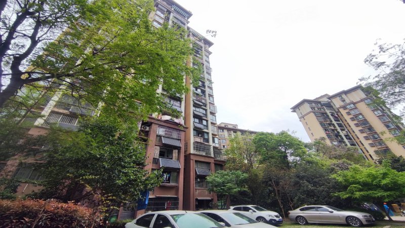 琥珀名城沁园,吴敬梓路-合肥琥珀名城沁园二手房,租房