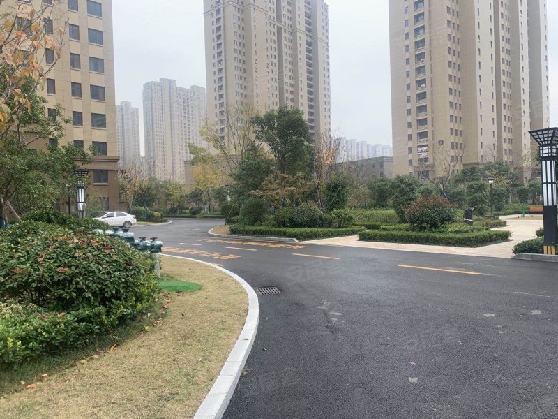 金色兰庭香堤