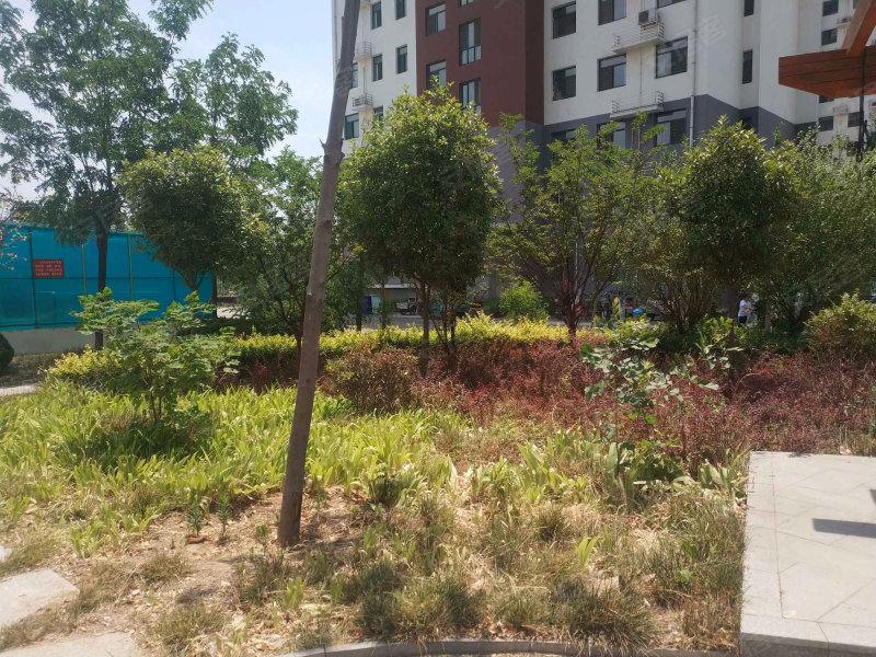 唐王湖小区