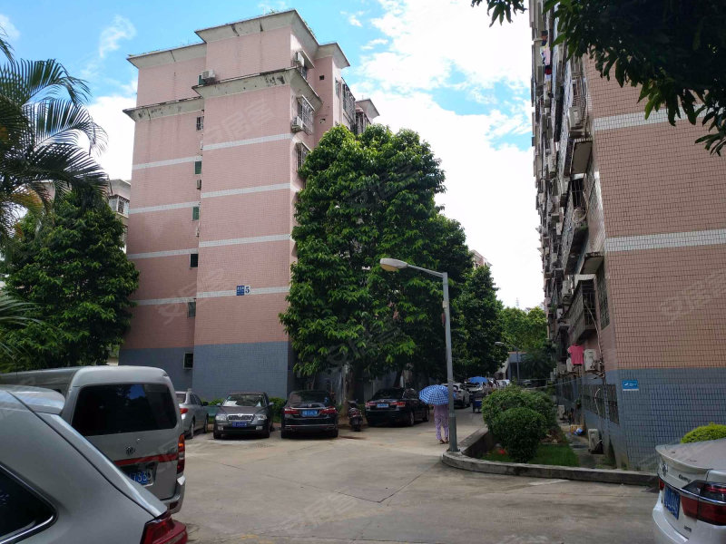 金祥都市花园,红岗路1168号-深圳金祥都市花园二手房