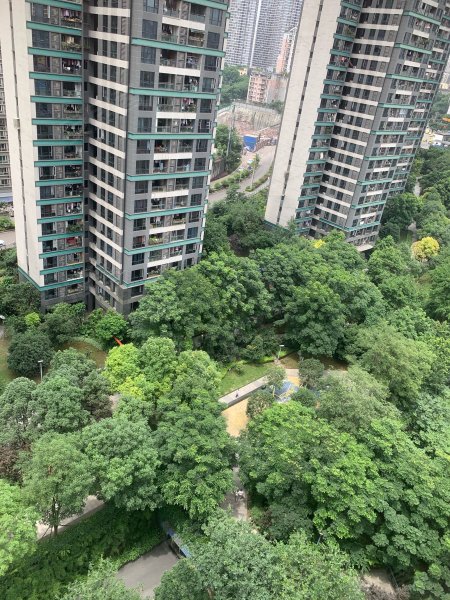 翡翠明珠,光电路18号-重庆翡翠明珠二手房,租房,房价