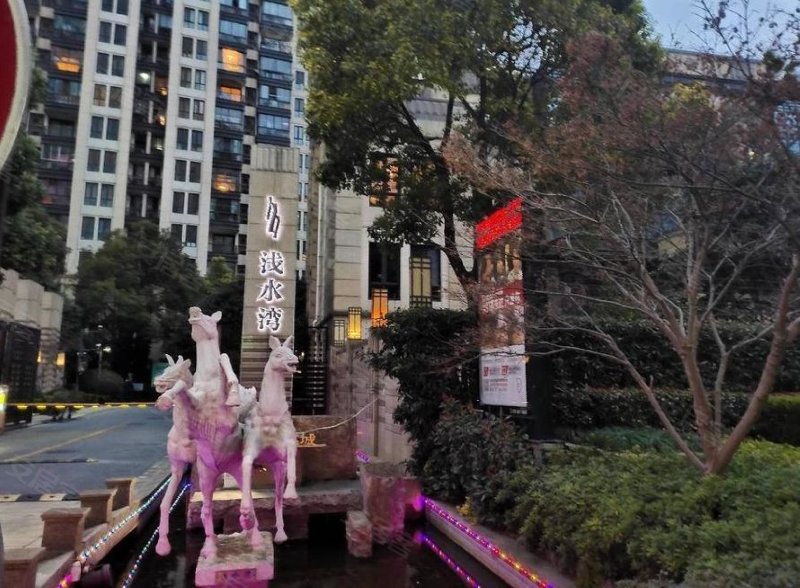 浅水湾恺悦名城,澳门路330弄-上海浅水湾恺悦名城二手