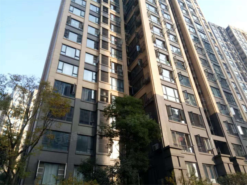 蓝光金双楠(2期)