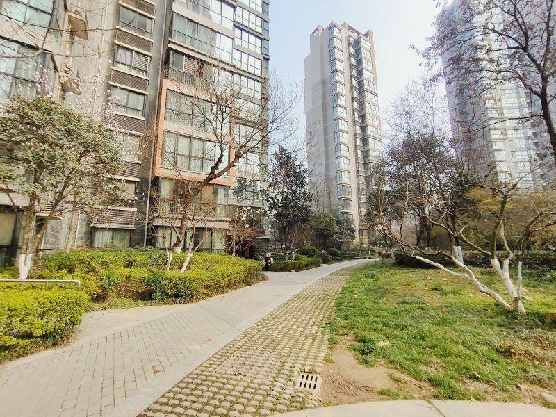 高新枫林华府,团结南路,近无名路-西安高新枫林华府房