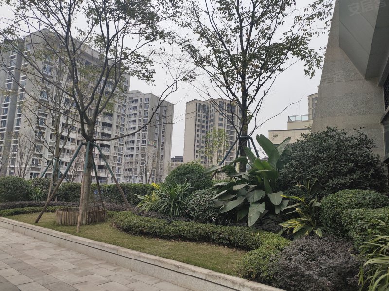 万科金开悦府