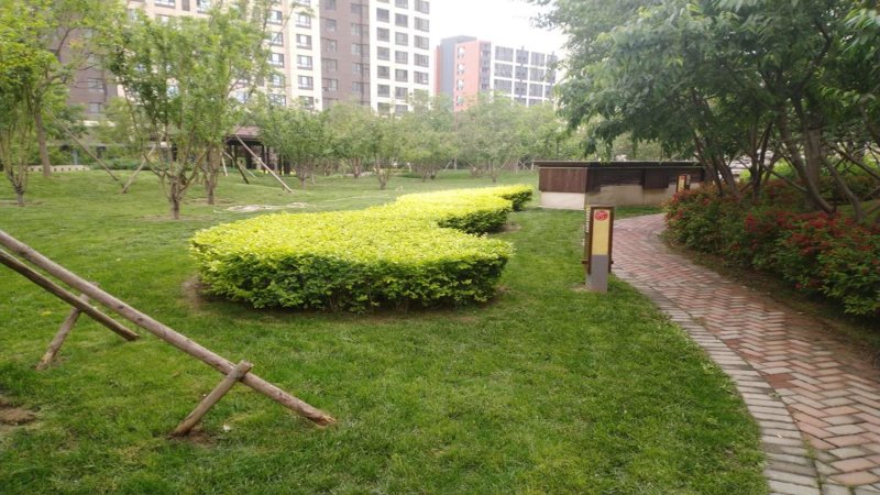 上善颐园芷菱苑,艺术大道-廊坊上善颐园芷菱苑二手房