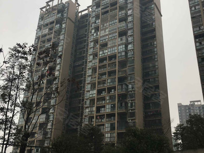 天府香城印象