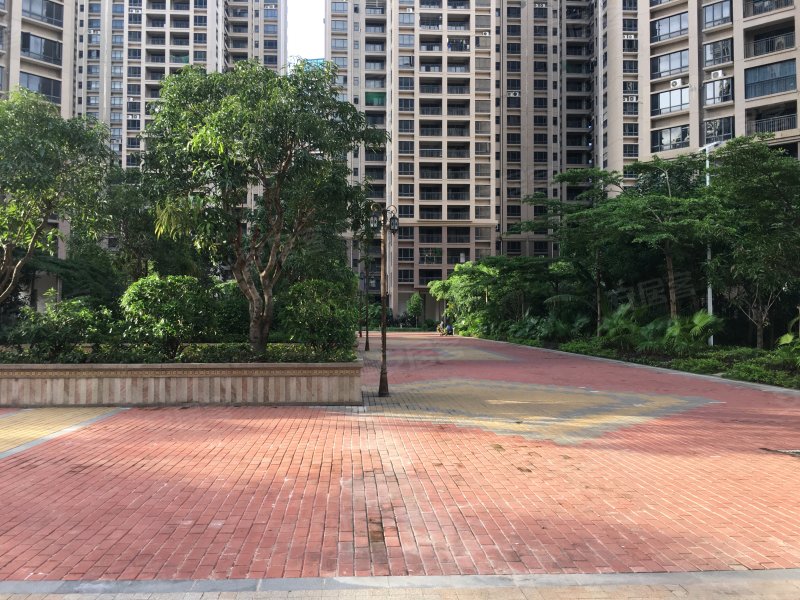 德洲中心城,中兴北路-惠州德洲中心城二手房,租房