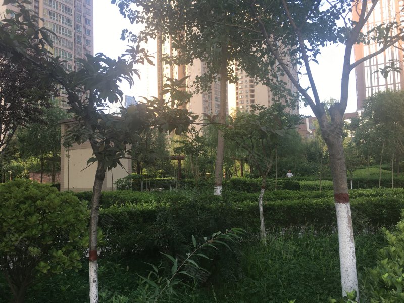 旭景兴园,明光路69号-西安旭景兴园二手房,租房,房价