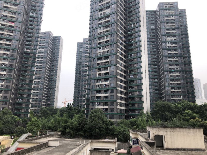 翡翠明珠(商住楼,光电路18号-重庆翡翠明珠(商住楼)二手房,租房,房价