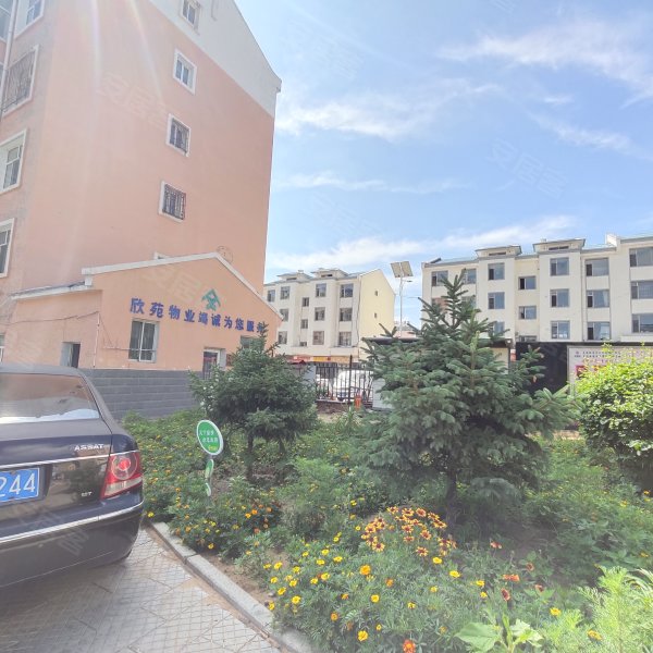 民生小区(东胜区,鄂尔多斯西街,近团结路-鄂尔多斯民生小区(东胜区)
