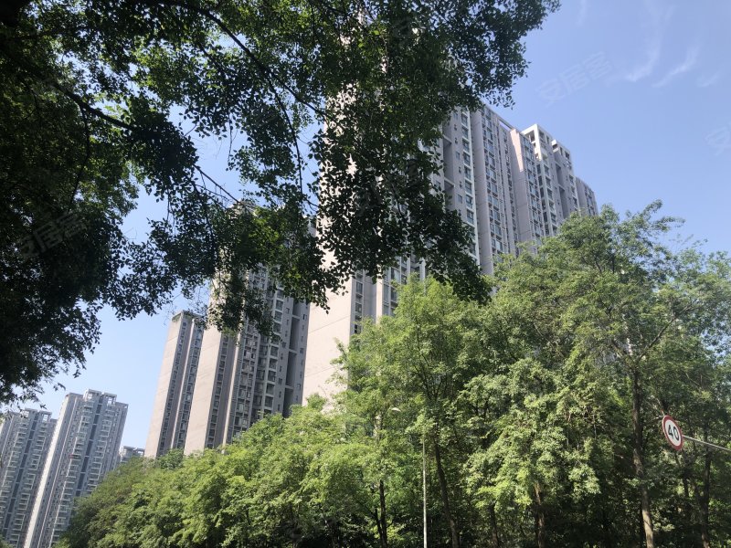 东苑c区,金桂路233号-成都东苑c区二手房,租房,房价