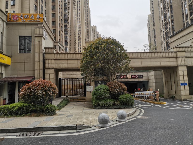 嘉宇银杉