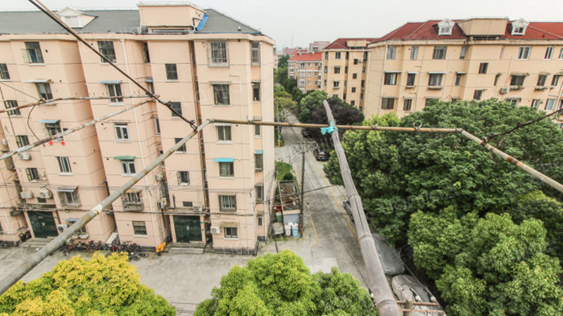 政立路545弄小区