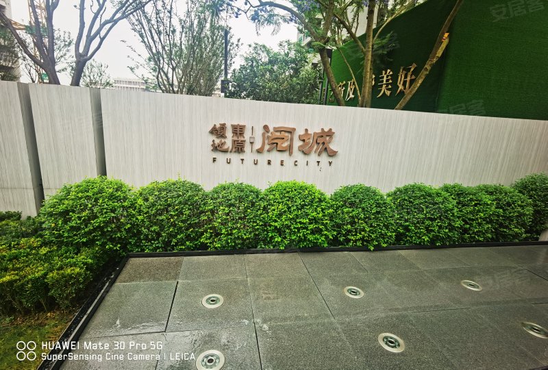 领地东原阅城,碧云路125号-绵阳领地东原阅城二手房