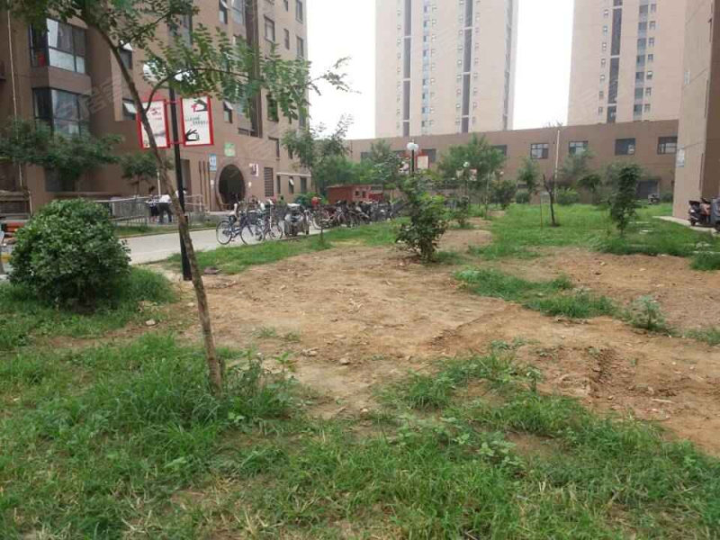 谈安小区,金永街-石家庄谈安小区二手房,租房,房价-石家庄安居客