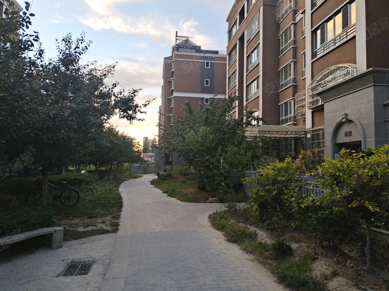 公园大地