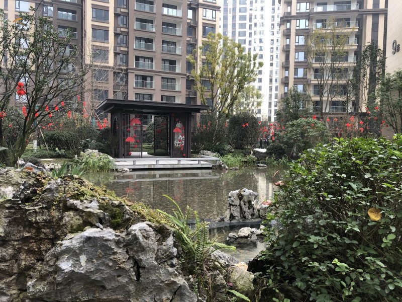 邦泰天著