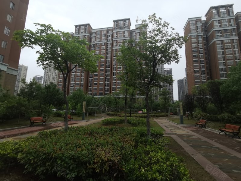 书香雅苑,东坡西路-滁州书香雅苑二手房,租房,房价