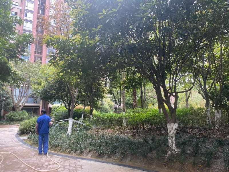 奥林春天一期