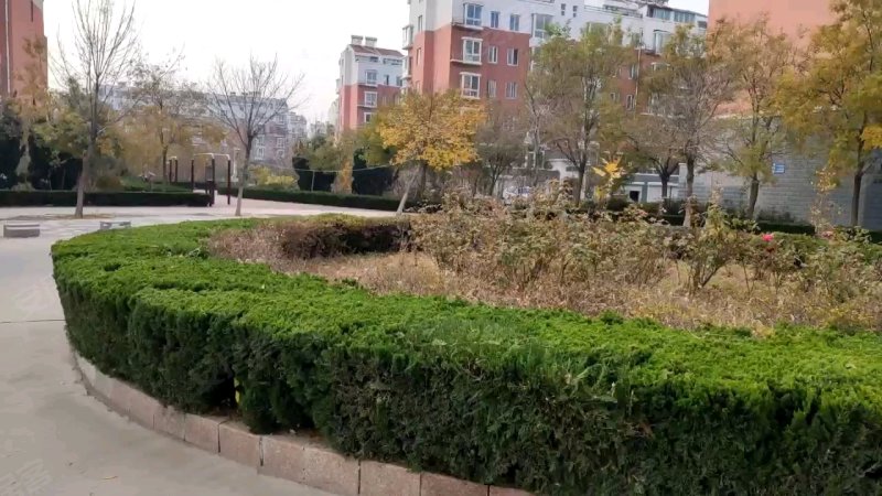 科达华苑d区