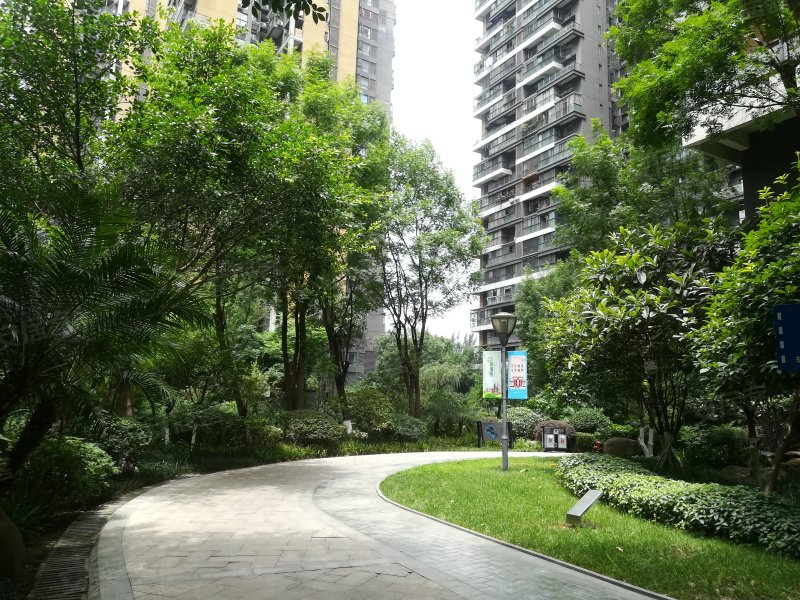 华侨城纯水岸三期,西华大道9号-成都华侨城纯水岸三期二手房,租房