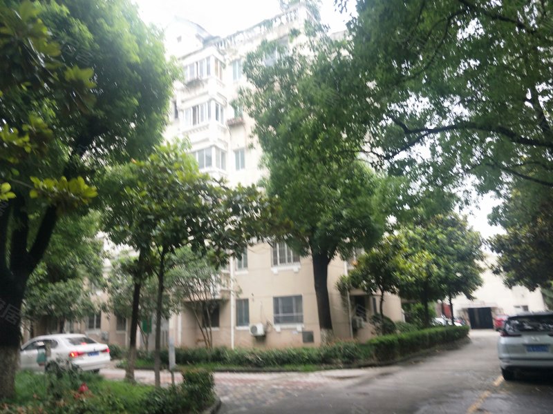 良隆园,九亭大街473弄1-49号-上海良隆园二手房,租房,房价-上海安居客