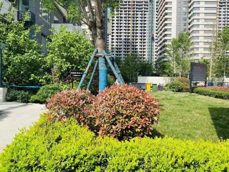 滨河春晓,经开第十八大街,近经南十二路-郑州滨河春晓二手房,租房