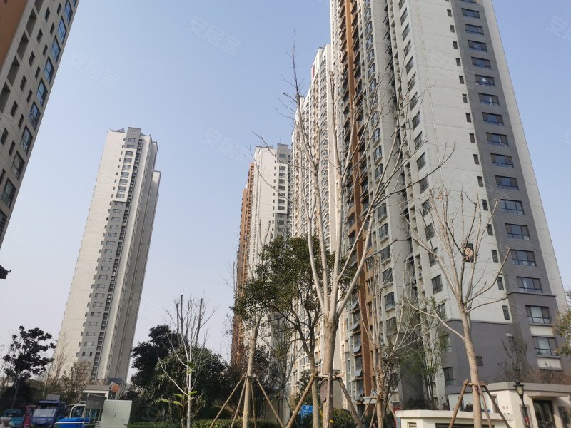 鸿顺观邸(二期),运河路-济宁鸿顺观邸(二期)二手房,租房,房价-济宁