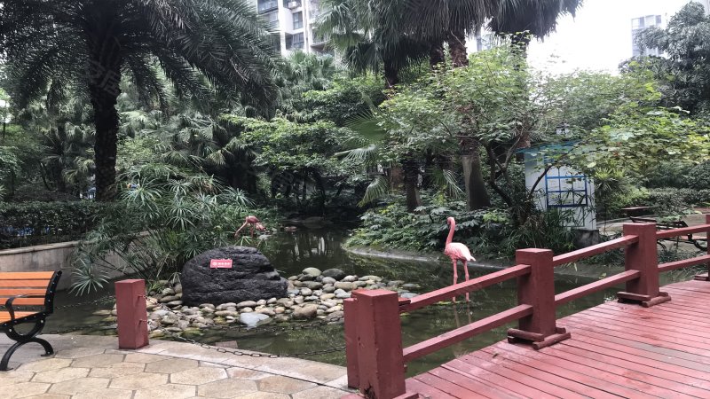澳龙名城,牛沙北路171号-成都澳龙名城二手房,租房,房价-成都安居客