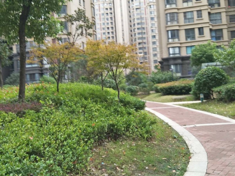 天逸华府竹园,龙蟠大道-滁州天逸华府竹园二手房,租房