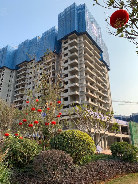 奥园瀚德棠悦府,亭洪路48号-南宁奥园瀚德棠悦府二手