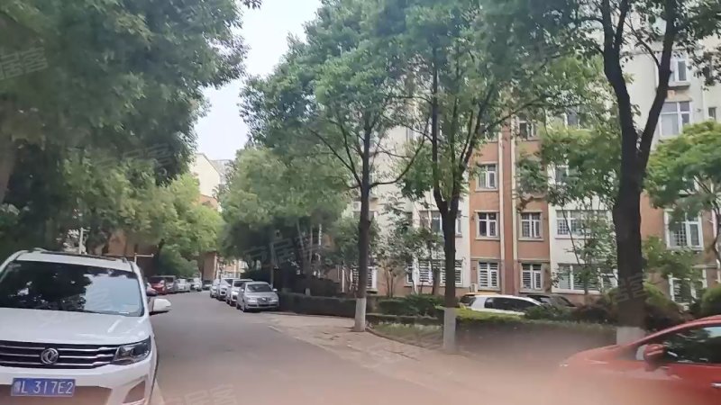 西班牙玫瑰