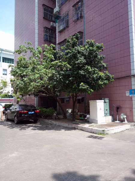 万丰花园,文园路31号-珠海万丰花园二手房,租房,房价-珠海安居客