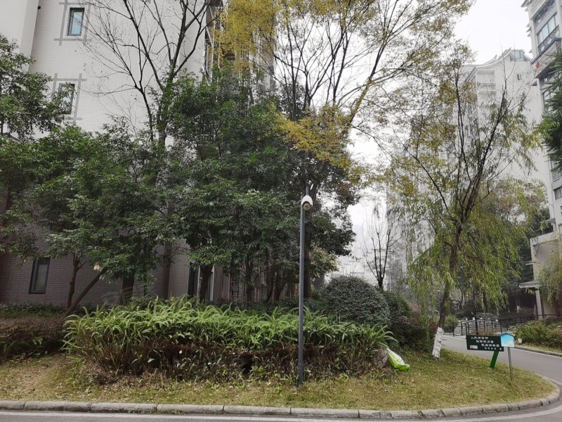 中华坊,科华路4号-绵阳中华坊二手房,租房,房价-绵阳