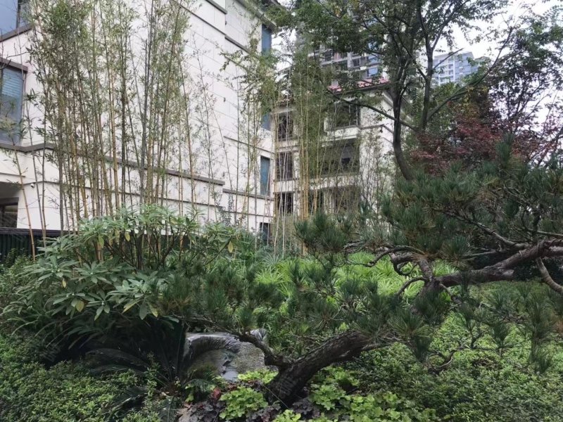 江天樾,二环东路266号-眉山江天樾二手房,租房,房价