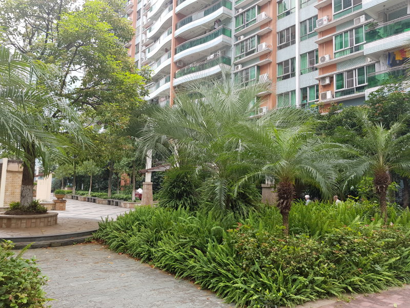 鸿洲花园,沿江路8号-韶关鸿洲花园二手房,租房,房价-韶关安居客
