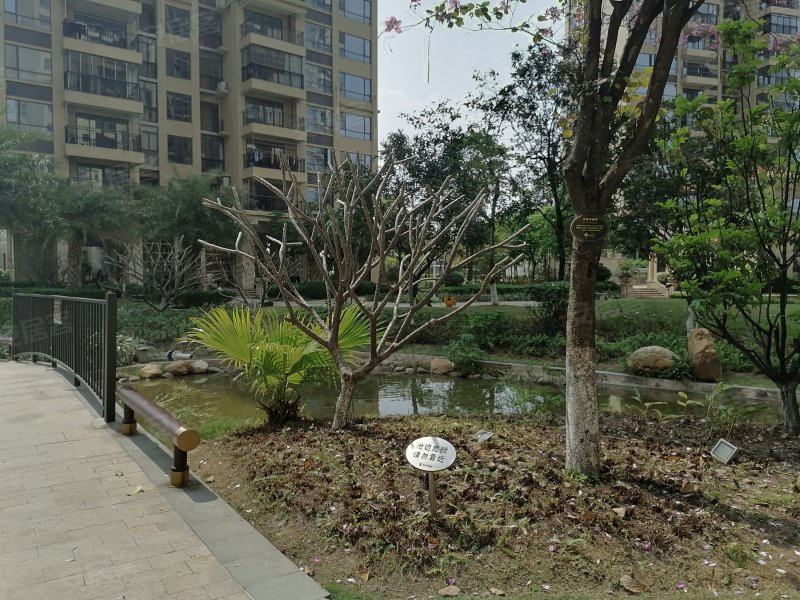 中伦东海岸,北江东路-清远中伦东海岸二手房,租房