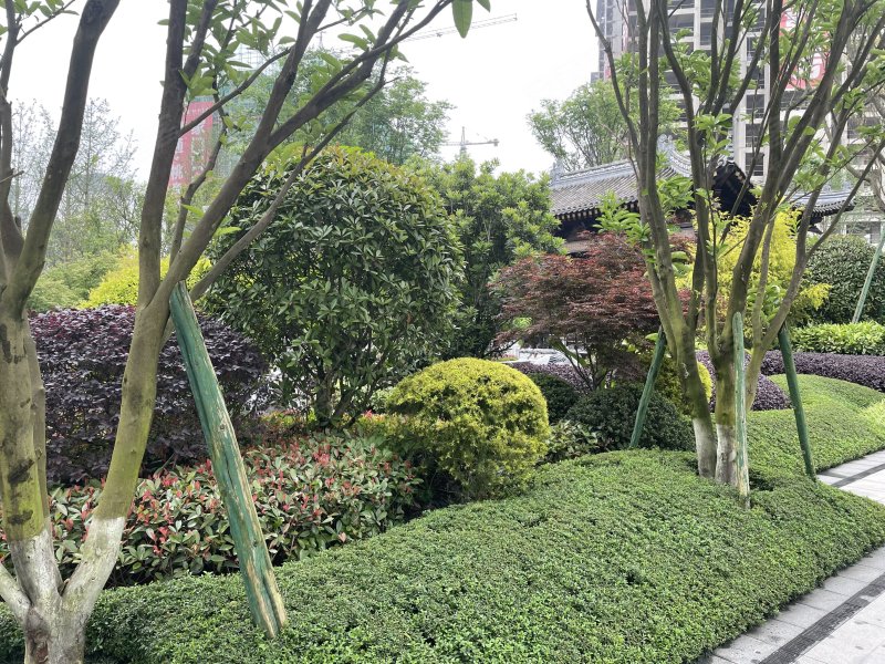 阳光临江邸,金河路三段69号-南充阳光临江邸二手房