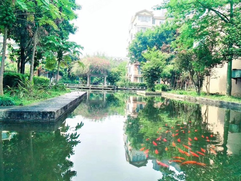 金桥花园玫瑰苑(别墅),国宾大道162号-福州金桥花园苑
