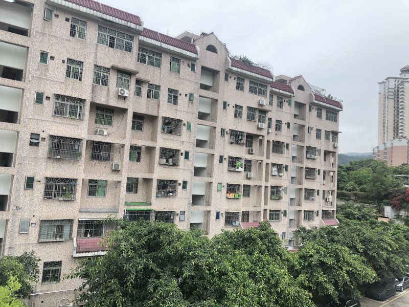 金祥都市花园,红岗路1168号-深圳金祥都市花园二手房