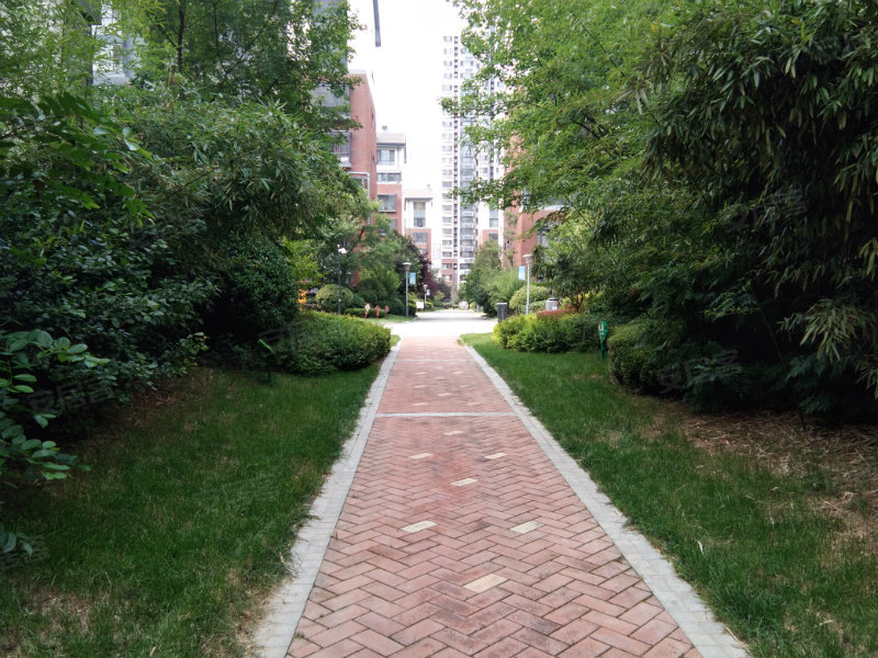 鲁商南池公馆,南池路-济宁鲁商南池公馆二手房,租房
