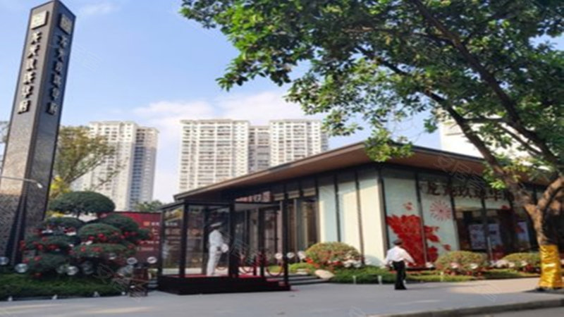 龙光玖珑华府,东葛路117号-南宁龙光玖珑华府二手房